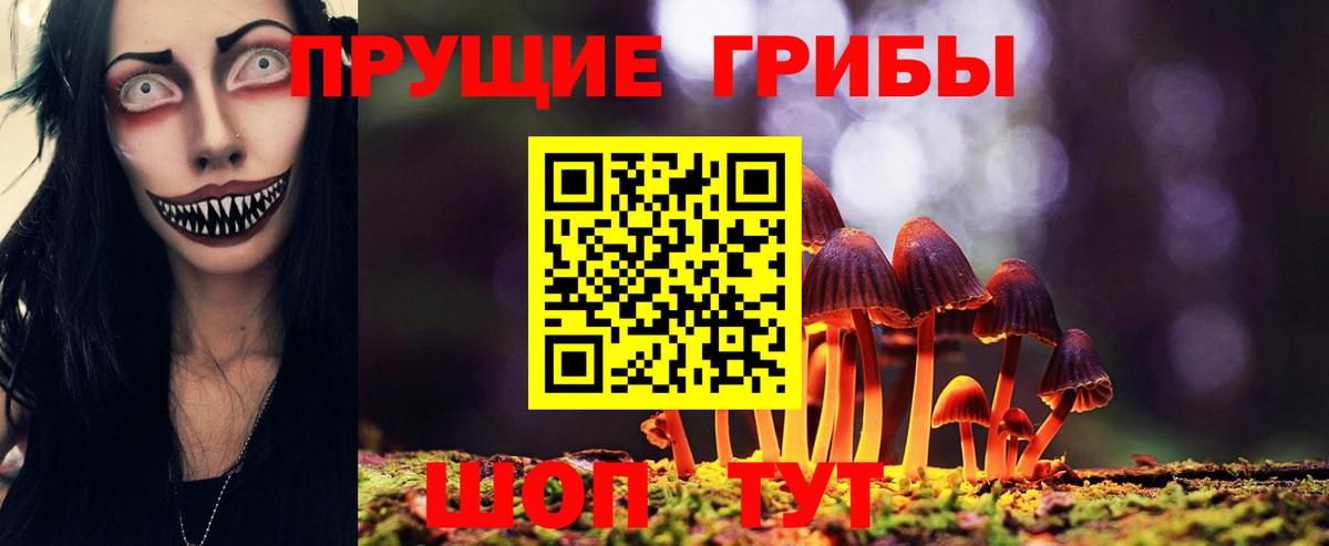 Учалы  Галлюциногенные грибы MAGIC MUSHROOMS  Псилоцибиновые грибы GOLDEN TEACHER  Вход с VPN 